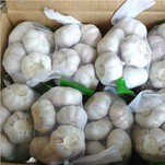 Директна продажба на органичен замразен бял чесън