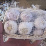 Пресен соло чесън в наличност